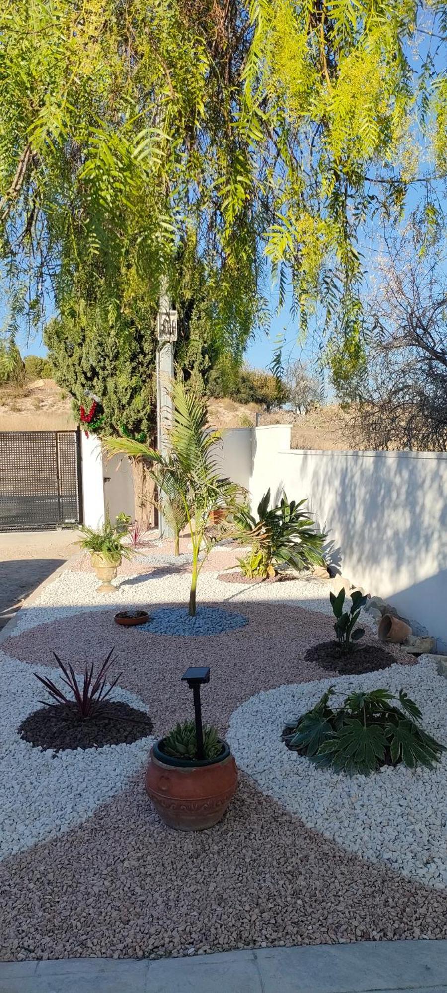 Casa Rural Con Piscina Climatizada Y Barbacoa A 10 Km De Alicante Y Playas, 3000 M2 De Terreno Έλτσε Εξωτερικό φωτογραφία