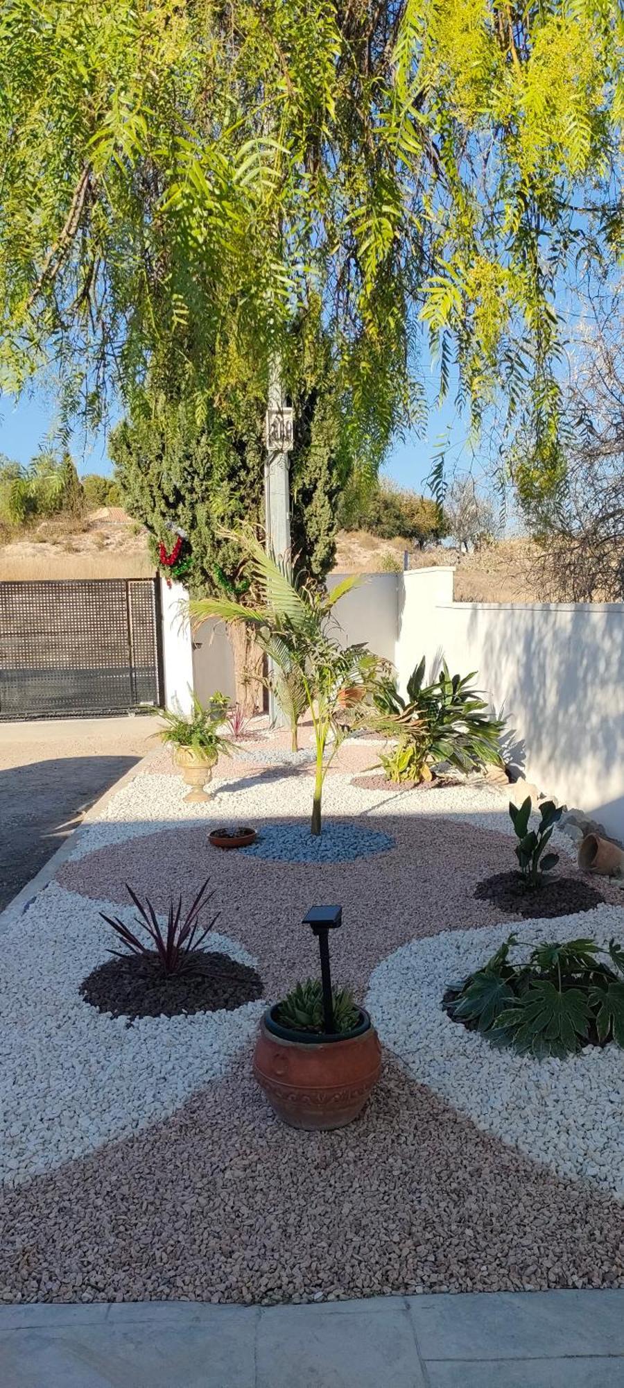 Casa Rural Con Piscina Climatizada Y Barbacoa A 10 Km De Alicante Y Playas, 3000 M2 De Terreno Έλτσε Εξωτερικό φωτογραφία